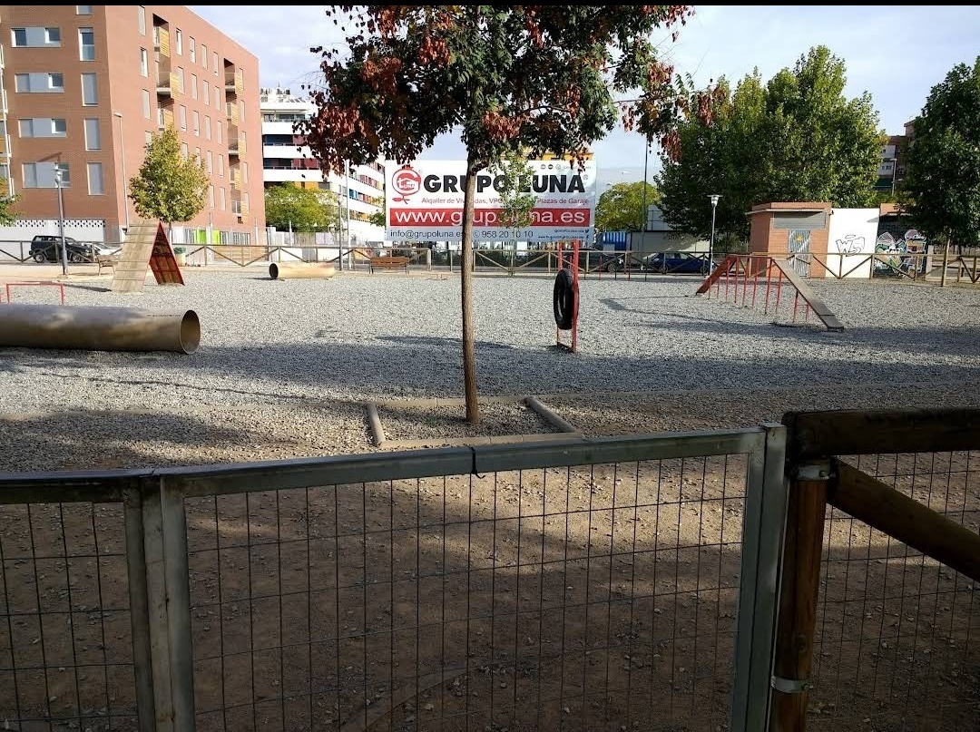 Imatge pels mitjans: Pipican gran per fer agility