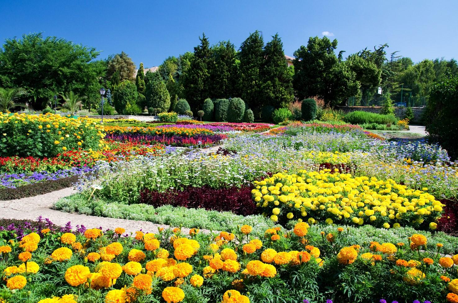 Imatge pels mitjans: Jardi botanic sensorial obert a tothom