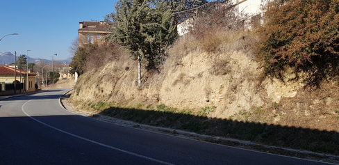 20220124_131104.jpg