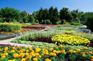 4.- Jardí botànic.jpg